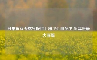 日本东京天然气股价上涨 15% 创至少 50 年来最大涨幅