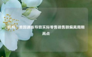 机构：美国通胀导致实际零售销售额偏离周期高点