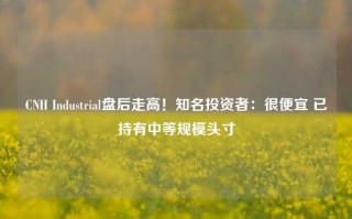 CNH Industrial盘后走高！知名投资者：很便宜 已持有中等规模头寸