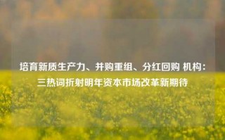 培育新质生产力、并购重组、分红回购 机构：三热词折射明年资本市场改革新期待