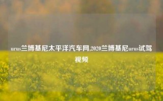 urus兰博基尼太平洋汽车网,2020兰博基尼urus试驾视频