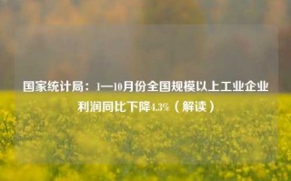 国家统计局：1—10月份全国规模以上工业企业利润同比下降4.3%（解读）