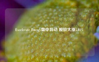 Excelerate Energy盘中异动 股价大涨5.01%