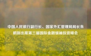 中国人民银行副行长、国家外汇管理局局长朱鹤新出席第三届国际金融领袖投资峰会