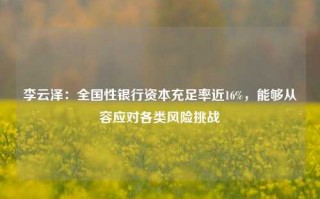 李云泽：全国性银行资本充足率近16%，能够从容应对各类风险挑战