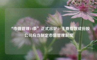 “市值管理14条”正式出炉：主要指数成份股公司应当制定市值管理制度