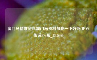 澳门马精准资料澳门马资料帮我一下好吗,炉石传说Pro版_25.36.60