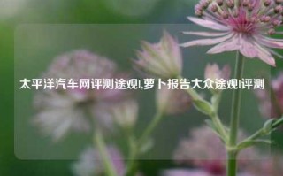 太平洋汽车网评测途观l,萝卜报告大众途观l评测