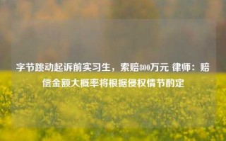 字节跳动起诉前实习生，索赔800万元 律师：赔偿金额大概率将根据侵权情节酌定