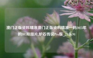 澳门正版资料精准澳门正版资料精准一码2023年的103期图片,炉石传说Pro版_25.36.94