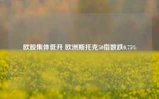 欧股集体低开 欧洲斯托克50指数跌0.75%