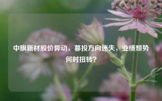 中旗新材股价异动，募投方向迷失，业绩颓势何时扭转？