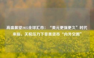 高盛展望2025全球汇市：“美元更强更久”时代来临，关税压力下非美货币“内外交困”