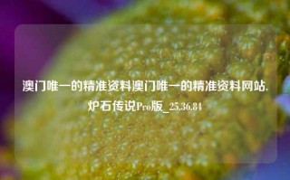 澳门唯一的精准资料澳门唯一的精准资料网站,炉石传说Pro版_25.36.84