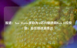 报道：Sam Altman亲自为AI芯片制造商Rain AI拉投资，旨在挑战英伟达