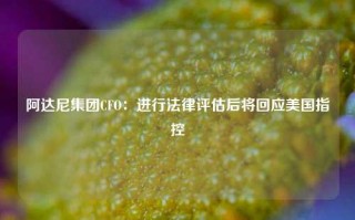 阿达尼集团CFO：进行法律评估后将回应美国指控