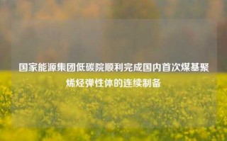 国家能源集团低碳院顺利完成国内首次煤基聚烯烃弹性体的连续制备