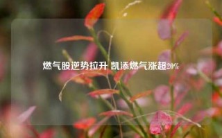 燃气股逆势拉升 凯添燃气涨超20%