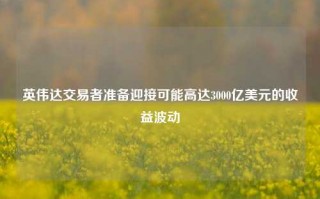 英伟达交易者准备迎接可能高达3000亿美元的收益波动