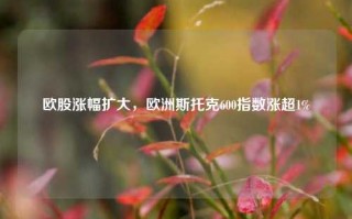 欧股涨幅扩大，欧洲斯托克600指数涨超1%