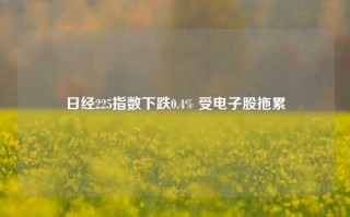 日经225指数下跌0.4% 受电子股拖累