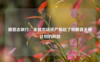 德意志银行：金融市场资产低估了特朗普关税计划的风险