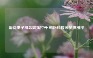 消费电子概念震荡拉升 朝阳科技等多股涨停