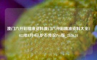 澳门六开彩精准资料澳门六开彩精准资料大全2023年8月9日,炉石传说Pro版_25.36.34