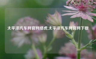 太平洋汽车网官网络虎,太平洋汽车网官网下载