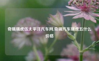 奇瑞瑞虎伍太平洋汽车网,奇瑞汽车瑞虎五什么价格