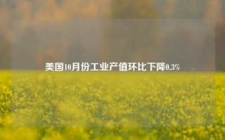 美国10月份工业产值环比下降0.3%