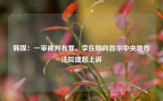 韩媒：一审被判有罪，李在明向首尔中央地方法院提起上诉