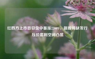 红四方上市首日盘中暴涨2200%，新股稀缺发行压价套利空间凸显