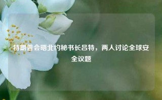 特朗普会晤北约秘书长吕特，两人讨论全球安全议题