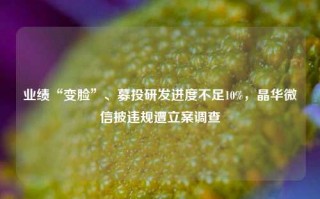 业绩“变脸”、募投研发进度不足10%，晶华微信披违规遭立案调查