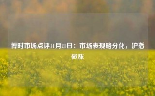 博时市场点评11月21日：市场表现略分化，沪指微涨