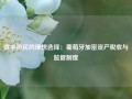 数字游民的理想选择：葡萄牙加密资产税收与监管制度