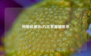 阿根廷推出2万比索面值纸币