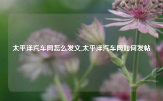 太平洋汽车网怎么发文,太平洋汽车网如何发帖