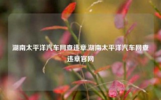 湖南太平洋汽车网查违章,湖南太平洋汽车网查违章官网