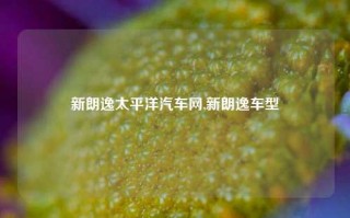 新朗逸太平洋汽车网,新朗逸车型