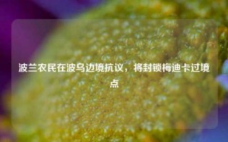 波兰农民在波乌边境抗议，将封锁梅迪卡过境点