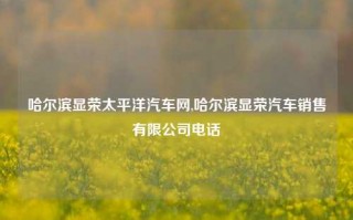 哈尔滨显荣太平洋汽车网,哈尔滨显荣汽车销售有限公司电话