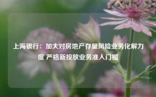 上海银行：加大对房地产存量风险业务化解力度 严格新投放业务准入门槛