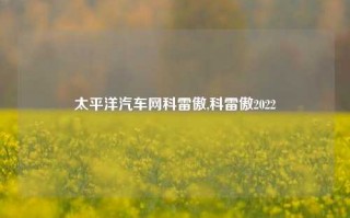 太平洋汽车网科雷傲,科雷傲2022