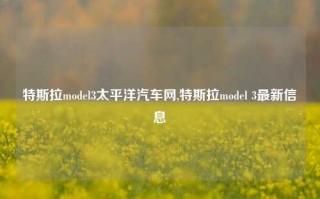 特斯拉model3太平洋汽车网,特斯拉model 3最新信息