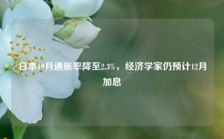 日本10月通胀率降至2.3%，经济学家仍预计12月加息