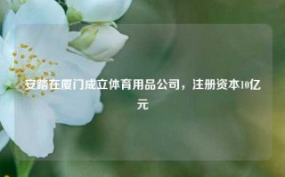 安踏在厦门成立体育用品公司，注册资本10亿元