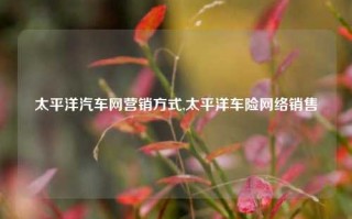 太平洋汽车网营销方式,太平洋车险网络销售