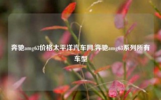 奔驰amg63价格太平洋汽车网,奔驰amg63系列所有车型